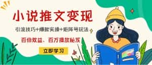 (4569期)小说推文训练营:引流技巧+爆款实操+矩阵号玩法,百倍效益、百万播放秘笈-优优云创网