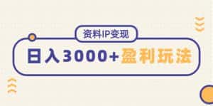 （4576期）资料IP变现，能稳定日赚3000起的持续性盈利玩法-优优云创网