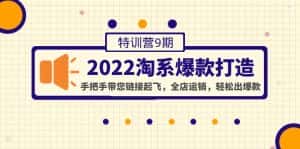 (4334期)2022淘系爆款打造特训营9期:手把手带您链接起飞,全店运销,轻松出爆款-优优云创网
