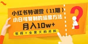 (4591期)小红书特训营(11期)小白可复制的运营方法-月入10w+(教程+全套文档资料)-优优云创网