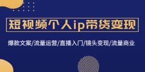 （4595期）短视频个人ip带货变现：爆款文案/流量运营/直播入门/镜头变现/流量商业-优优云创网