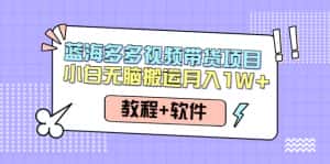 （4343期）人人都能操作的蓝海多多视频带货项目 小白无脑搬运月入10000+（教程+软件）-优优云创网