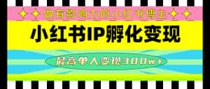 (4612期)某收费培训-小红书IP孵化变现:做有影响力的小红书博主,最高单人变现300w+-优优云创网