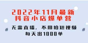 (4356期)2022年11月最新抖音小店爆单训练营:无需直播,不用拍短视频,每天出1000单-优优云创网