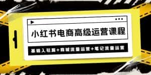 (4638期)小红书电商高级运营课程:基础入驻篇+商城流量运营+笔记流量运营-优优云创网