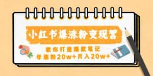(4645期)小红书爆涨粉变现营(第五期)教你打造爆款笔记,年涨粉20w+月入20w+-优优云创网