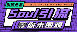 (4659期)【引流必备】神鹰-Soul引流脚本【永久脚本+详细教程】-优优云创网