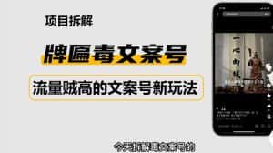 （4676期）2023抖音快手毒文案新玩法，牌匾文案号，起号快易变现-优优云创网