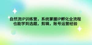（4688期）自然流IP训练营，系统掌握IP孵化全流程，也能学到选题，剪辑，账号运营经验-优优云创网