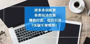 （4693期）拼多多训练营：各玩法合集，爆款打造，低价引流，7天破千单等等！-优优云创网