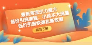 （4708期）最新淘宝引力魔方低价引流实操：小成本大流量，低价引流快速拉新收割-优优云创网