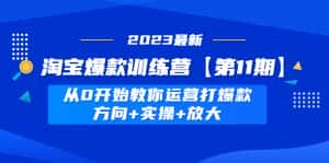 (4784期)淘宝爆款训练营【第11期】 从0开始教你运营打爆款,方向+实操+放大-优优云创网