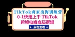 (4795期)TikTok商家出海训练营:0-1快速上手 TikTok跨境电商底层逻辑(无中创水印)-优优云创网