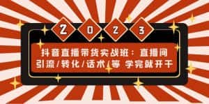 （4799期）抖音直播带货实战班：直播间引流/转化/话术/等 学完就开干(无中创水印)-优优云创网