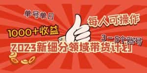 (4827期)2023新细分领域带货计划:单号单日1000+收益不难,每人可操作3-5个账号-优优云创网