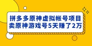 (4860期)外面卖2980的拼多多原神虚拟帐号项目:卖原神游戏号5天赚了2万-优优云创网