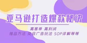 (4879期)亚马逊打造爆款秘诀:高客单 高利润 推品方法 类目广告玩法 SOP详解等等-优优云创网