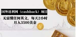 （4888期）国外返利网（cashback）项目：无需懂任何英文，每天2小时，月入3500美金-优优云创网