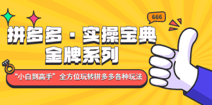 （4934期）拼多多·实操宝典：金牌系列“小白到高手”带你全方位玩转拼多多各种玩法-优优云创网