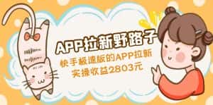（4946期）APP拉新野路子：快手极速版的APP拉新赚，实操收益2803元-优优云创网