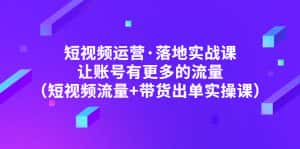 （4961期）短视频运营·落地实战课 让账号有更多的流量（短视频流量+带货出单实操）-优优云创网
