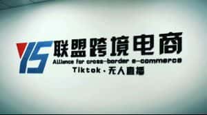 （5016期）Tiktok无人直播，不出镜不剪辑不拍摄不发货无售后的跨境短视频躺赚玩法-优优云创网