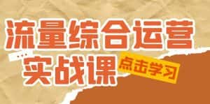 (5022期)流量综合·运营实战课:短视频、本地生活、个人IP知识付费、直播带货运营-优优云创网