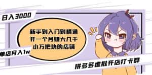 (5023期)拼多多虚拟开店打卡群:入门到精通(昨日群里有小伙伴日入3000+)2月26更新-优优云创网