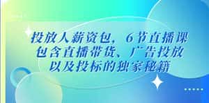 （5025期）投放人薪资包，6节直播课，包含直播带货、广告投放、以及投标的独家秘籍-优优云创网