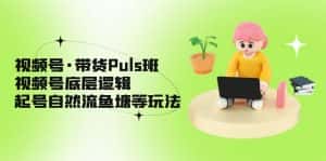 (5027期)视频号·带货Puls班,视频号底层逻辑,起号自然流鱼塘等玩法-优优云创网