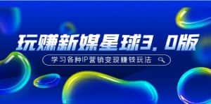 （5032期）《玩赚新媒星球3.0版》学习各种IP营销变现赚钱玩法（价值498）-优优云创网