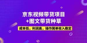 （5035期）京东视频带货项目+图文带货种草，成本低，利润高，操作简单收入稳定-优优云创网