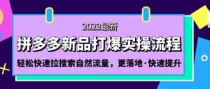 （5036期）拼多多-新品打爆实操流程：轻松快速拉搜索自然流量，更落地·快速提升!-优优云创网
