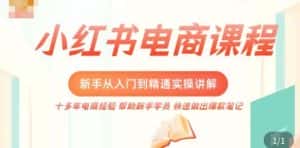 （5049期）小红书电商新手入门到精通实操课，从入门到精通做爆款笔记，开店运营-优优云创网
