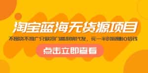 （5062期）淘宝蓝海无货源项目，不囤货不推广只做冷门高利润代发，花一半时间赚10倍钱-优优云创网