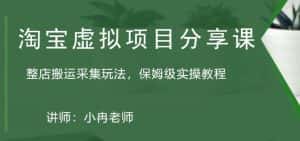 (5090期)淘宝虚拟整店搬运采集玩法分享课:整店搬运采集玩法,保姆级实操教程-优优云创网