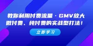 （5106期）教你利用付费流量·GMV放大，微付费、纯付费的实战型打法！-优优云创网