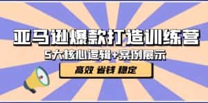 (5107期)亚马逊爆款打造训练营:5大核心逻辑+案例展示 打造爆款链接 高效 省钱 稳定-优优云创网