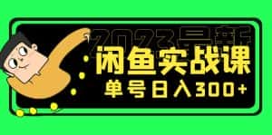 (5117期)花599买的闲鱼项目:2023最新闲鱼实战课,单号日入300+(7节课)-优优云创网