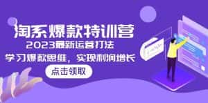 (5121期)2023淘系爆款特训营,2023最新运营打法,学习爆款思维,实现利润增长-优优云创网
