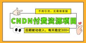 (5137期)CNDN付费资源项目,不用引流,无需做客服,后期被动收入,每天稳定300+-优优云创网