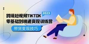 (5141期)跨境·短视频TIKTOK零基础到精通变现训练营 短视频·独立站·带货变现技巧-优优云创网