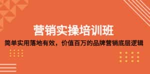 (5158期)营销实操培训班:简单实用-落地有效,价值百万的品牌营销底层逻辑-优优云创网
