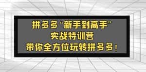 （5173期）拼多多“新手到高手”实战特训营：带你全方位玩转拼多多！-优优云创网