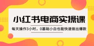 (5190期)小红书·电商实操课:每天操作3小时,0基础小白也能快速做出爆款!-优优云创网