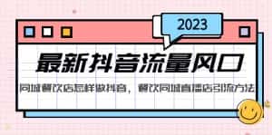 (5195期)2023最新抖音流量风口,同城餐饮店怎样做抖音,餐饮同城直播店引流方法-优优云创网