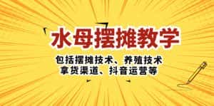 (5197期)水母·摆摊教学,包括摆摊技术、养殖技术、拿货渠道、抖音运营等-优优云创网