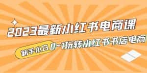 (5219期)2023最新小红书·电商课,新手小白从0~1玩转小红书书店电商-优优云创网