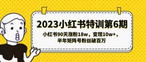(5267期)2023小红书特训第6期,小红书90天涨粉18w,变现10w+,半年矩阵号粉丝破百万-优优云创网
