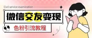 (5273期)微信交友变现项目,吸引全网LSP男粉精准变现,小白也能轻松上手,日入500+-优优云创网